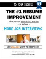 Template Lead Magnet For Resume Writers To Use