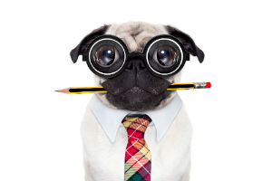 Background Checks - Quick Guide To Coach Your Clients