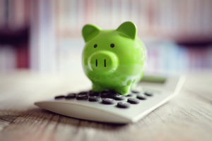 11 1/2 Frugal Tips to Save Your Resume Business Some Bucks