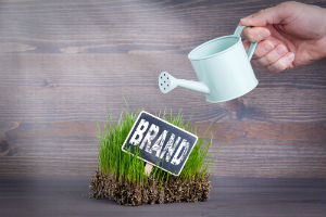 11 Tips to Brand Your Resume Business