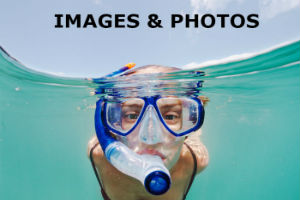 How to Optimize Your Website Images — Plus, 6 Tools To Help
