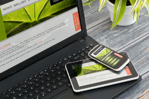 How to Build & Manage a Website For Your Resume Business